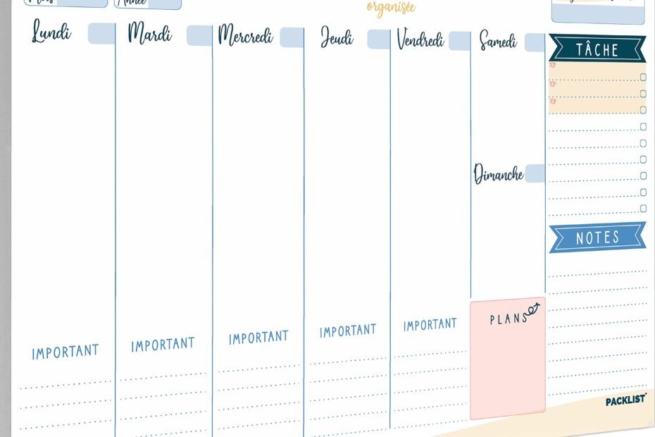 Organisation du travail scolaire au CNED réglementé avec planning et documents pédagogiques